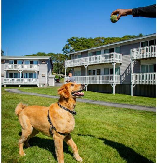 Smuggler'S Cove Inn Boothbay Екстер'єр фото